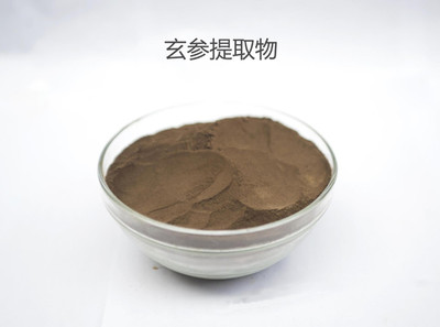 玄參提取物 10:1玄參粉 植物萃取工廠