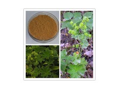 柚子提取物_中國貿易網