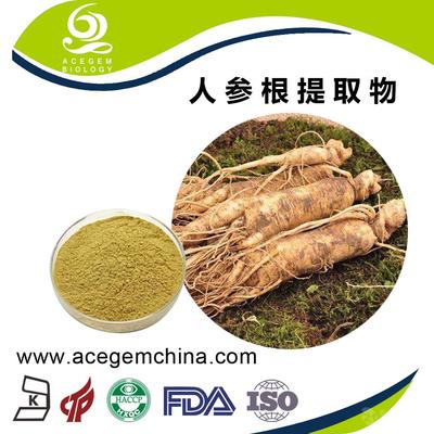 人參提取物 人參莖葉提取物 人參皂甙20%_中國蕪湖_艾森格_植物提取物-