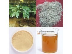 人參提取物_商城_西安天瑞生物技術供應部會員商鋪-中國貿易網(wǎng)-會員網(wǎng)站