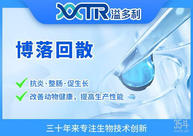 動植物綠色替代,看看海外獨角獸怎么做