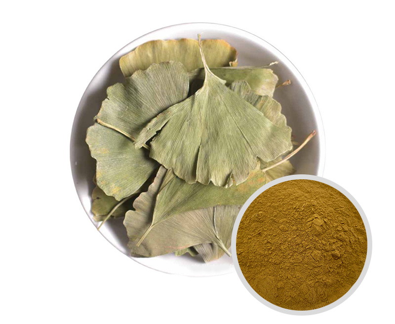 銀杏葉提取物 水解小分子提取物_植物提取物_產(chǎn)品中心_山東通圓共和生