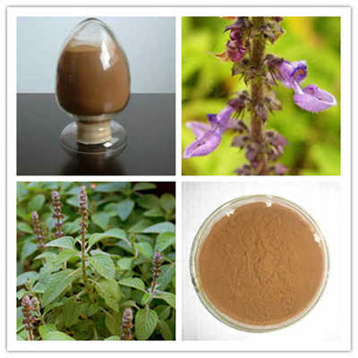 弗斯可林 20% 毛喉鞘蕊花提取物 主打產品