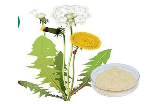 植物提取物加盟 費(fèi)用構(gòu)成、盈利前景與開店成本解析