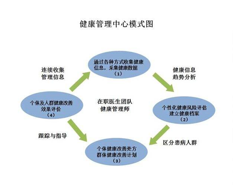 健康管理師 守護健康的專業規劃師，從信息咨詢到全面干預